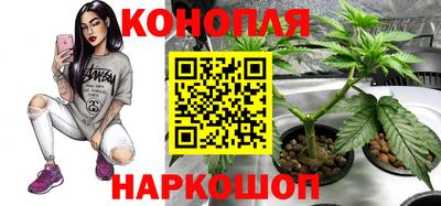 Альфа ПВП Краснодар