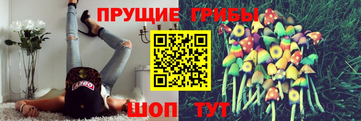 Галлюциногенные грибы Magic Shrooms Елец